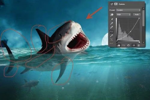 آموزش طراحی صحنه شکار کوسه در فتوشاپ